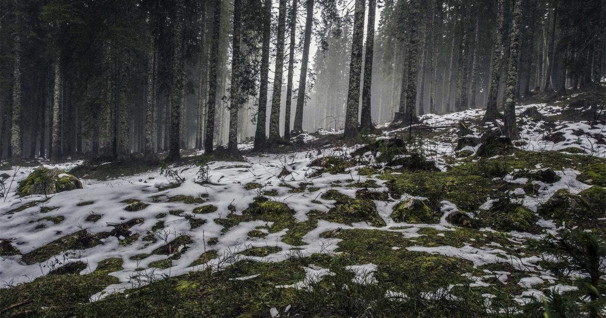 AI-Powered Content Repurposing: 2026 SEO Multiplier - Digital Marketing & SEO