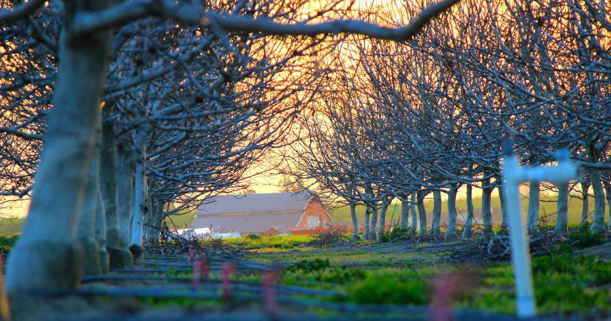 AI-Powered Customer Service: 2026 Platform Review - AI Tools & Reviews