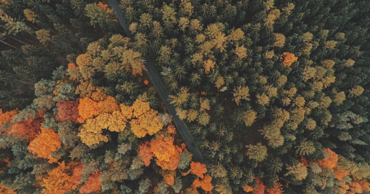 AI-Powered Data Breach Prevention: Cybersecurity Automation - Cybersecurity