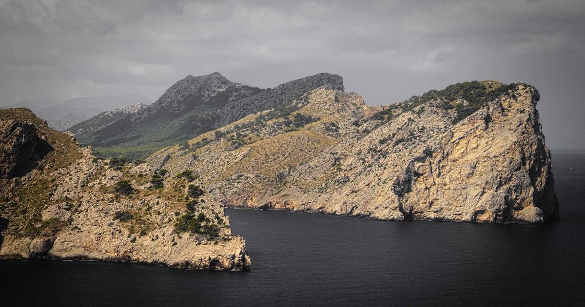 AI-Powered Financial Forecasting: Investment Automation 2026 - Finance & Fintech