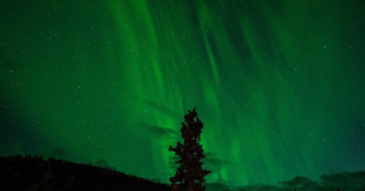 AI for Legal Eagles: Automating Document Review (2026) - AI Tools & Reviews