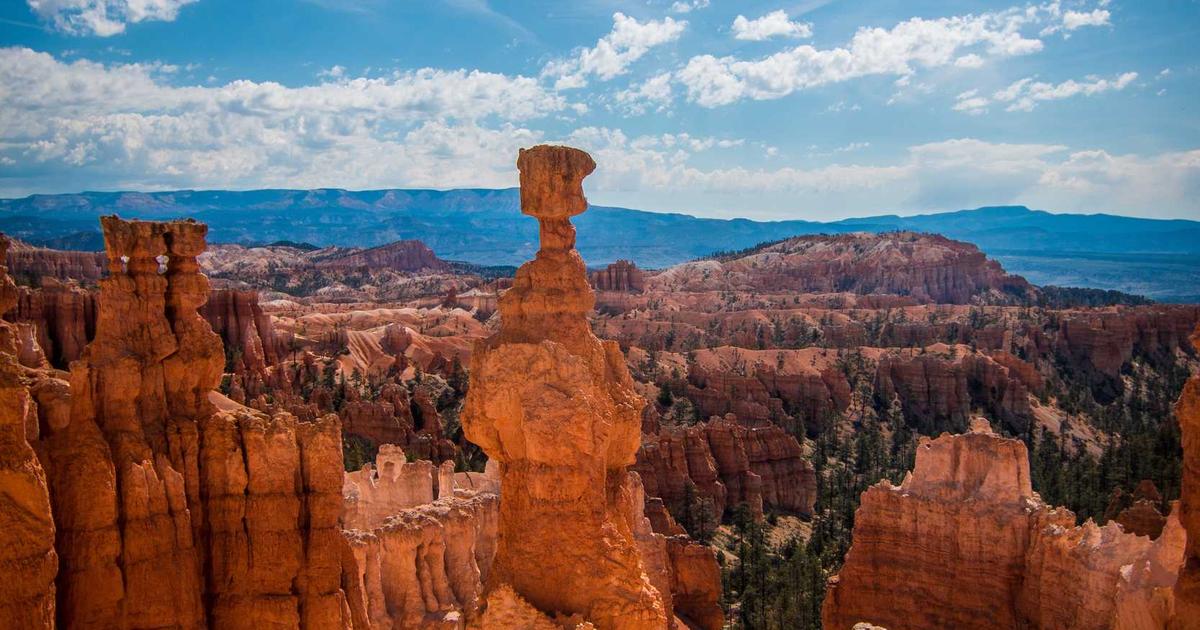 Future-Proofing SEO: AI-Powered Link Building in 2026 - Digital Marketing & SEO