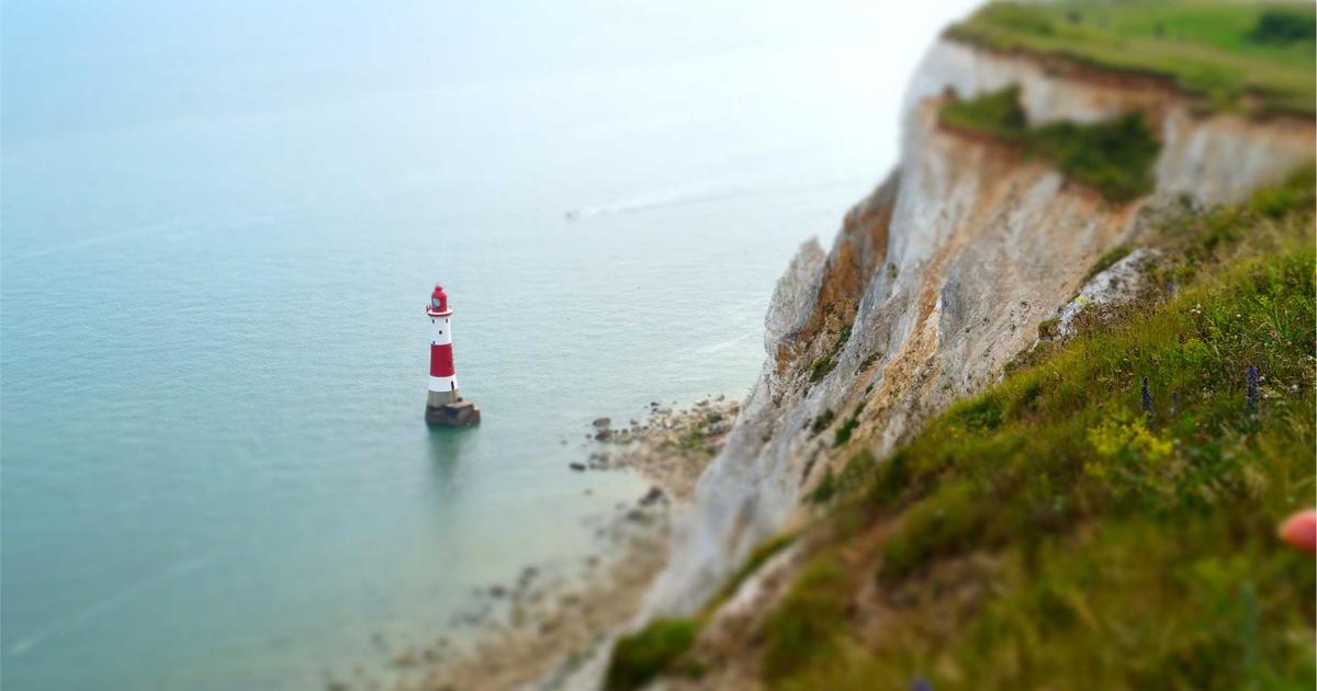 Wealth Building AI: Personalized Investment Platform Showdown - Finance & Fintech