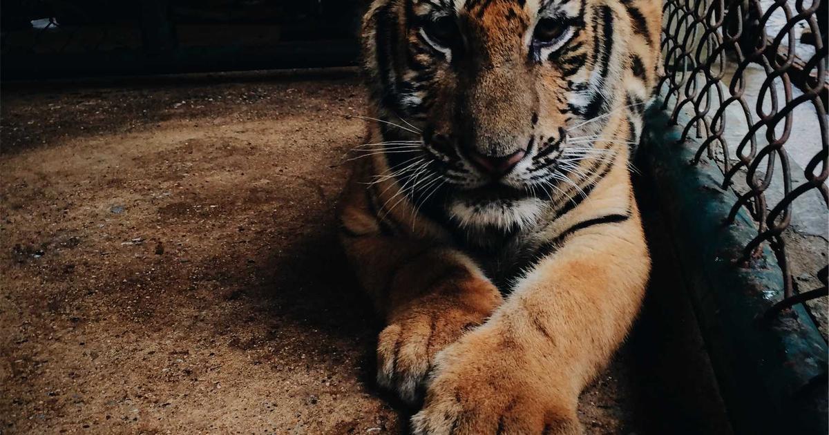 AI-Powered Research Assistants: The Next Gen Tools - AI Tools & Reviews