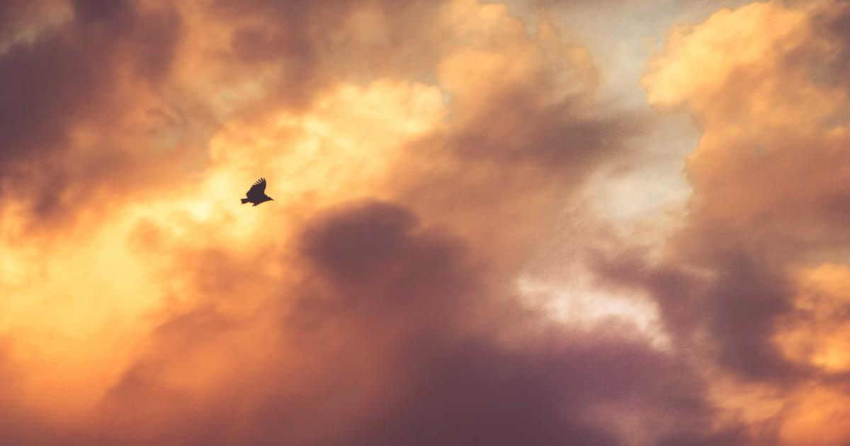 Democratizing Wealth: AI-Powered Robo-Advisors for Gen Z - Finance & Fintech