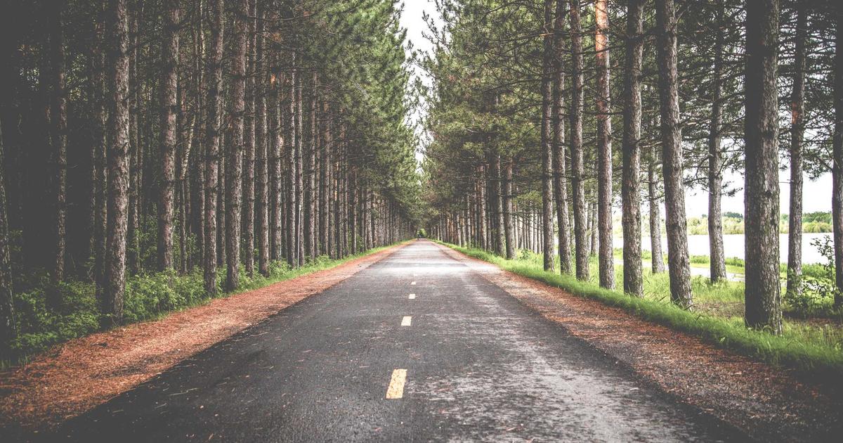 Future-Proofing Content: AI-Powered SEO Editorial Calendars 2026 - Digital Marketing & SEO