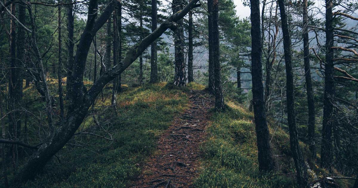 Automating Business Ops with APIs - Technology Tutorials