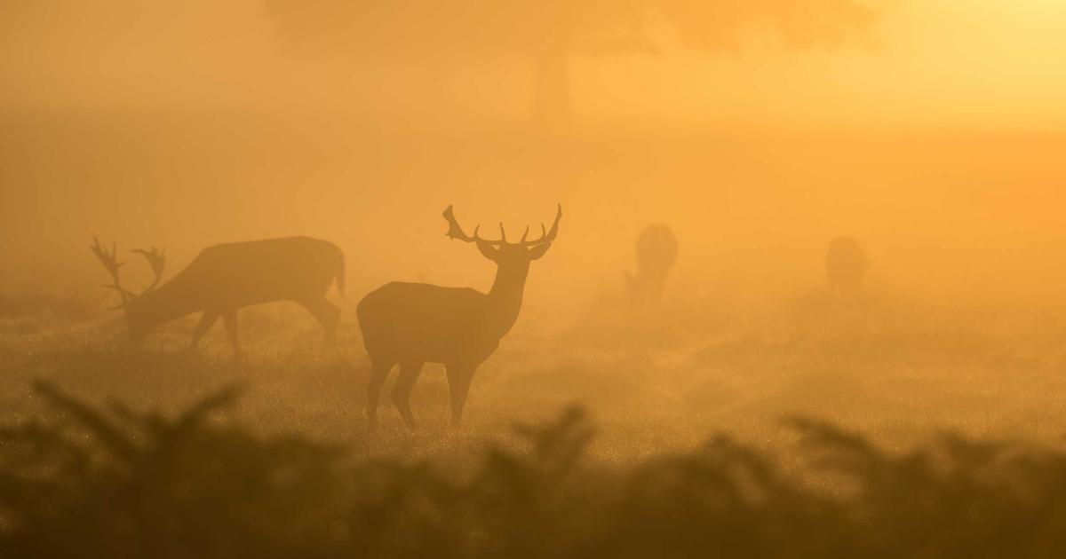 Automate Customer Onboarding: No-Code & API Magic - Technology Tutorials