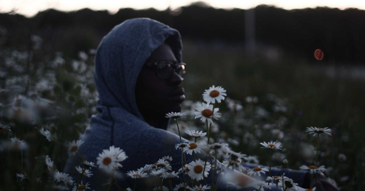 Automate Data Entry: Python vs No-Code API Solutions - Technology Tutorials