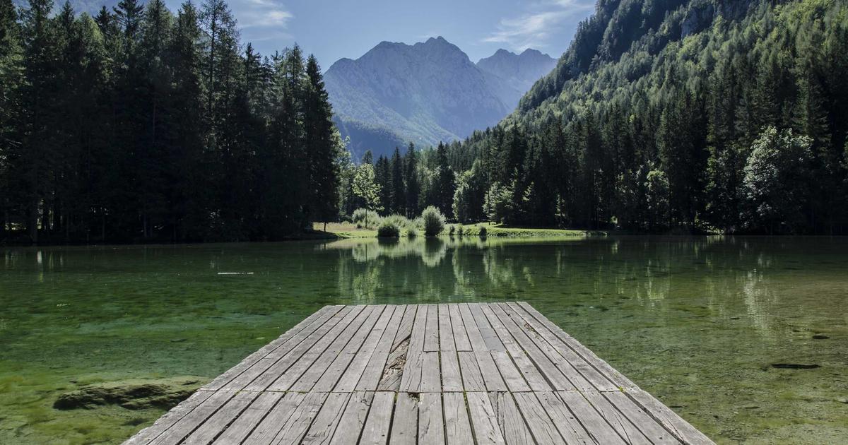 Automate Excel with Python: No-Code API Data Import - Technology Tutorials