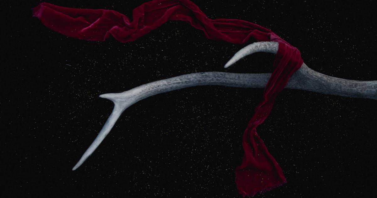 Future-Proof SEO: Automating Keyword Research for 2026 - Digital Marketing & SEO