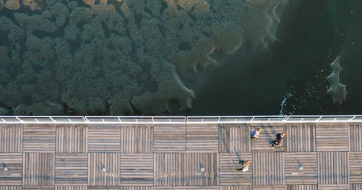 Beyond Meetings: Automate Meaningful Remote Team Connection - Remote Work & Productivity