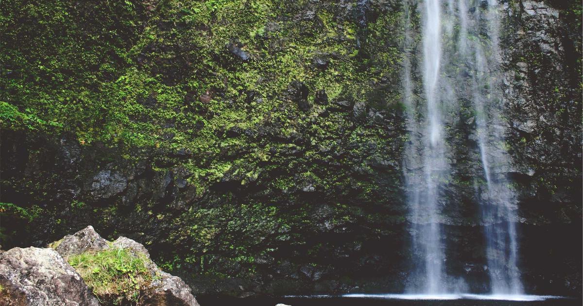 Automate Your Social Media: No-Code API Integration - Technology Tutorials