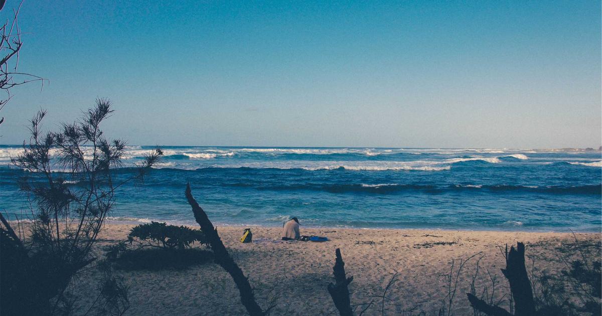 Automate Social Media with Python & APIs - Technology Tutorials