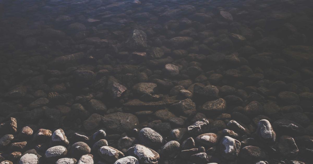 Automated API Testing: No-Code vs. Python for QA - Technology Tutorials