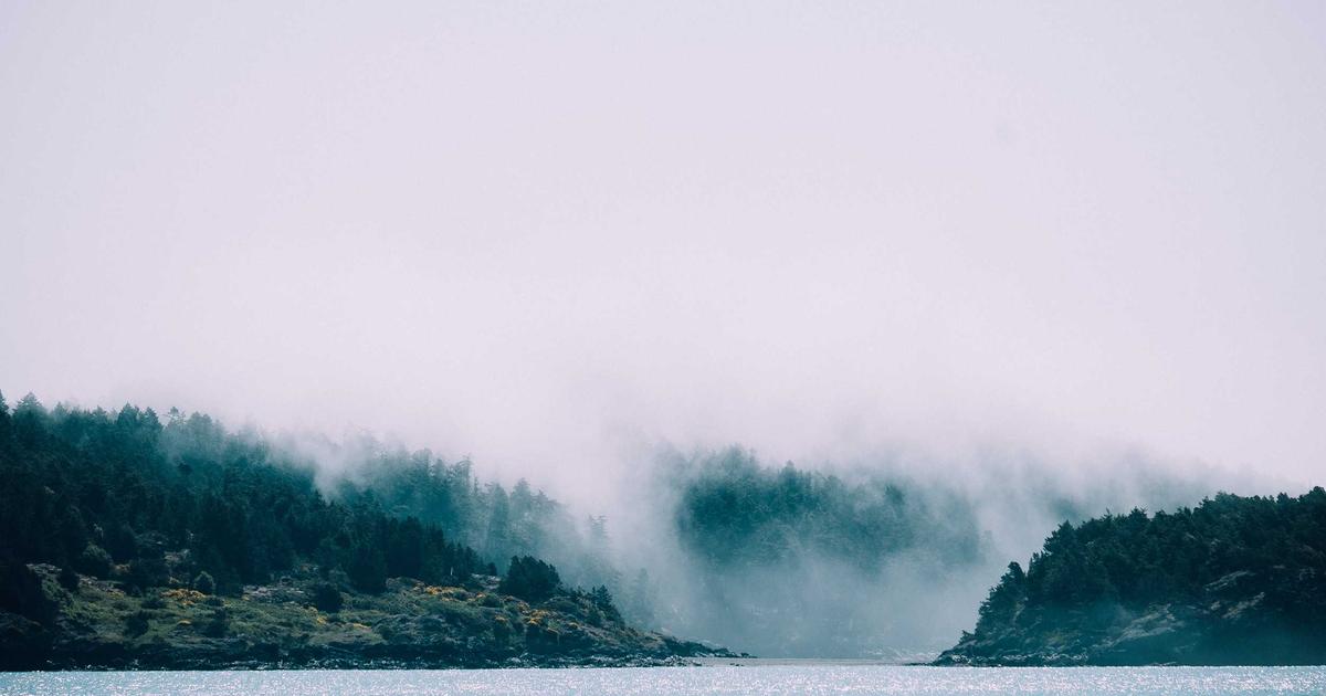 Automated Focus Zones: AI Noise Cancellation & Productivity - Remote Work & Productivity