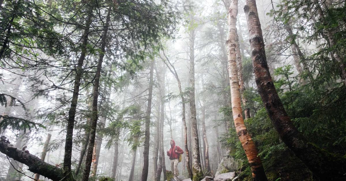 Automated Incident Response: SOAR for Small Businesses - Cybersecurity