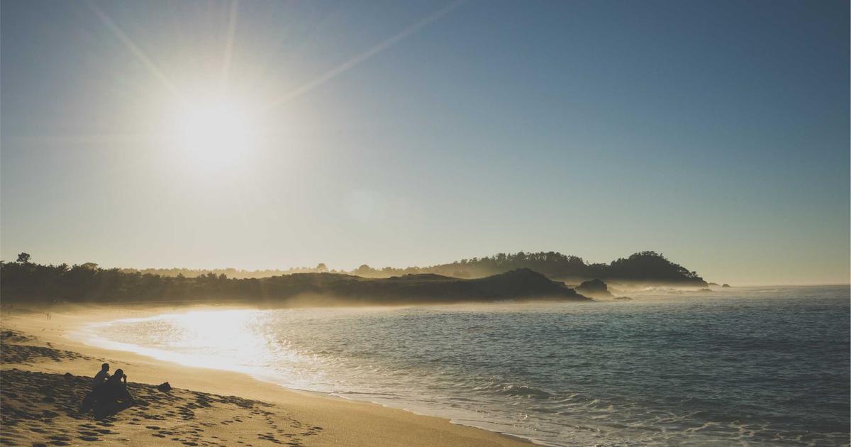 Automated Lead Scoring: Python & No-Code API Mashups - Technology Tutorials