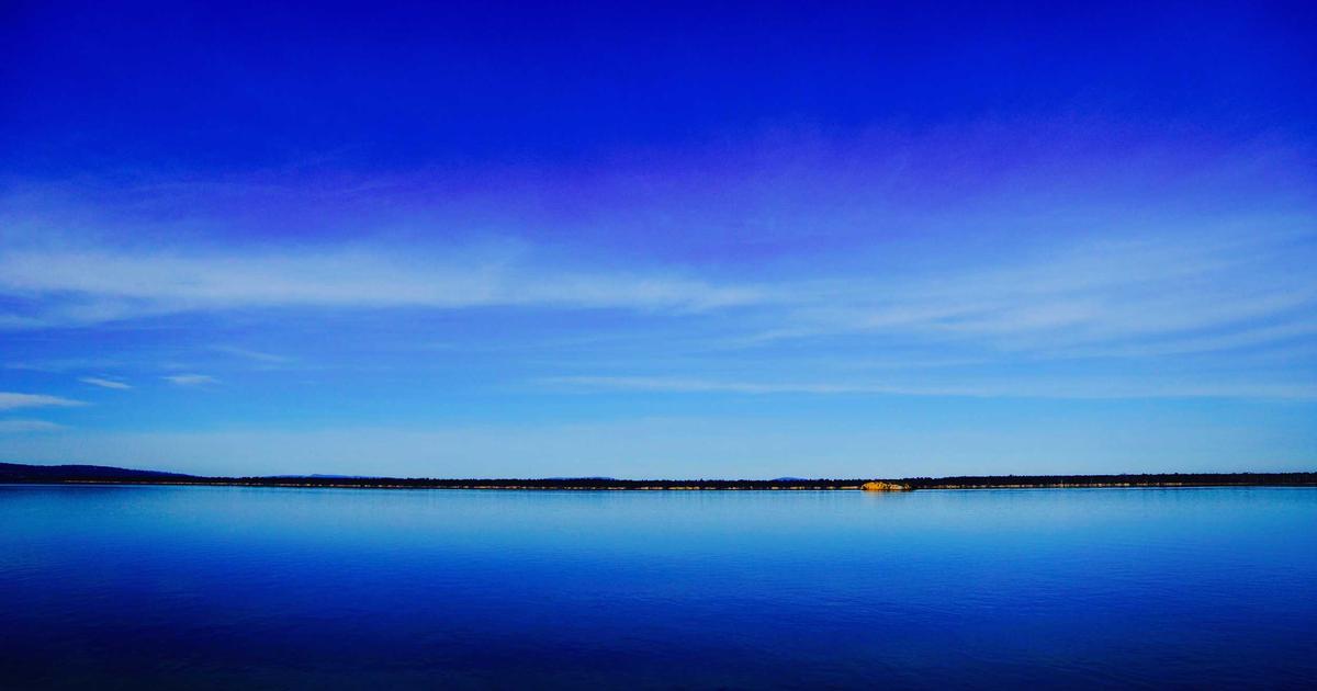 Automated Phishing Simulation: Train Your Team with AI - Cybersecurity