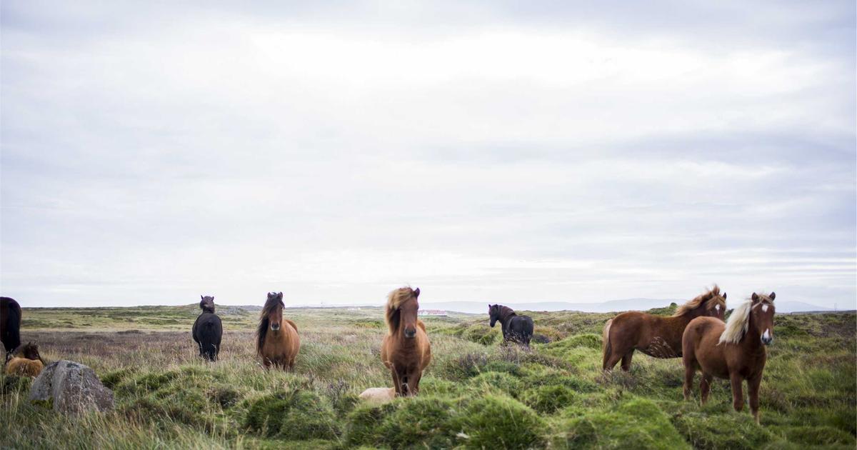 AI Writing Assistants Reviewed - AI Tools & Reviews