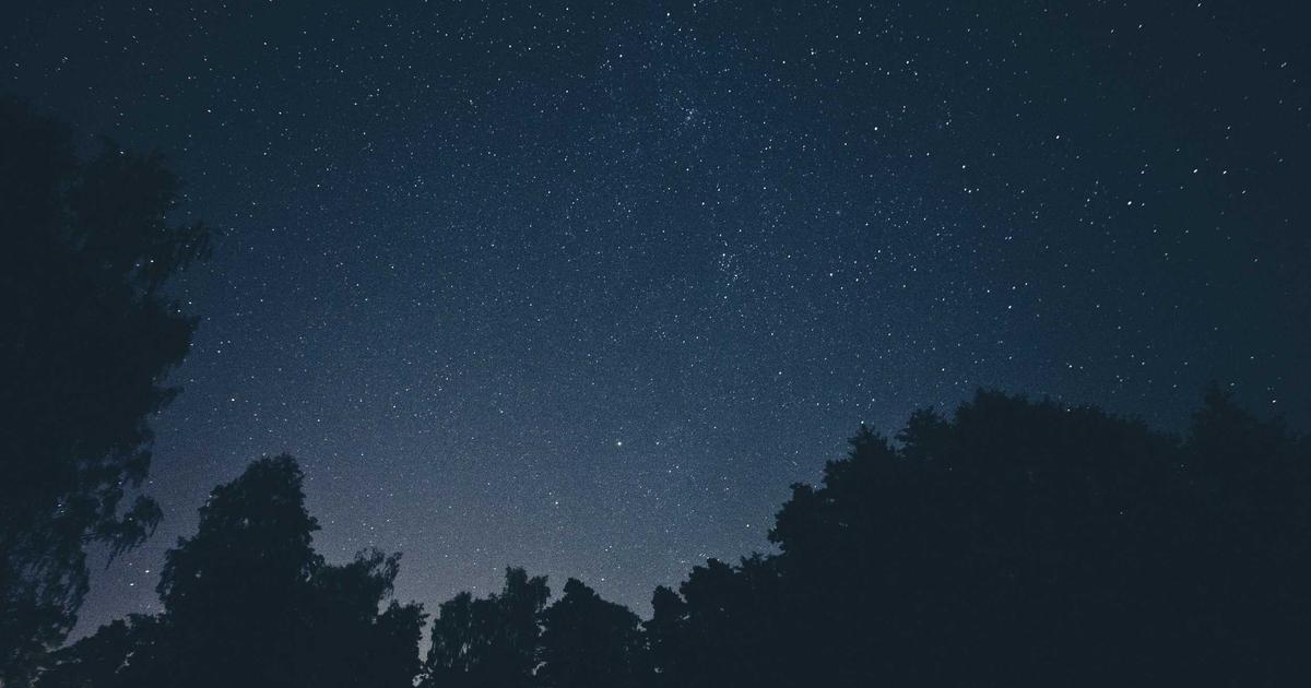 SaaS Toolbox for Scaling Businesses - SaaS & Software