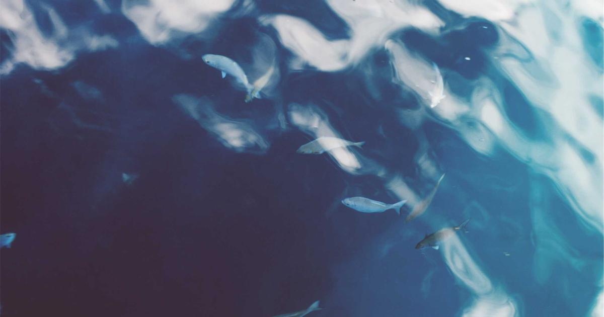 Cloud Hosting for DevOps: Cost Optimization - Cloud & DevOps