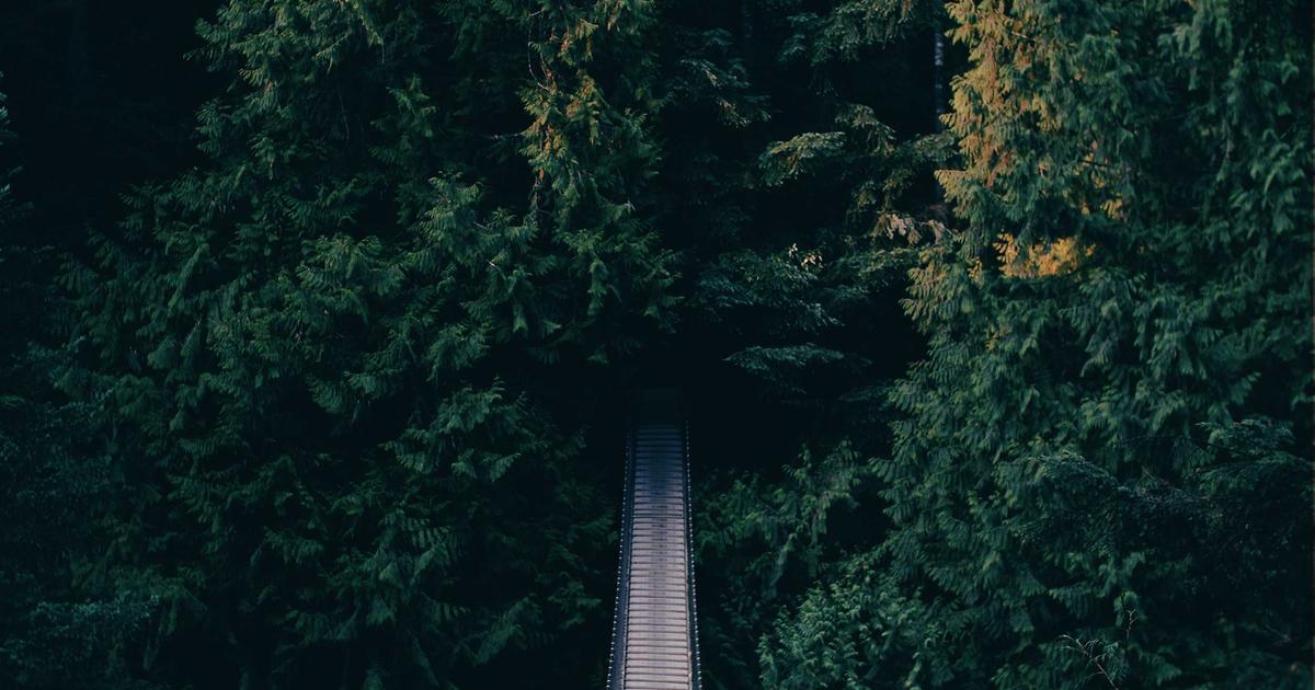 Cloud Hosting Showdown: DevOps Tools Compared - Cloud & DevOps