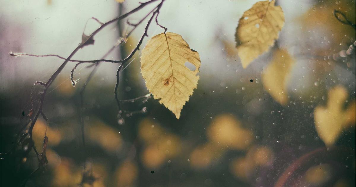 DevOps Pipeline as Code: Automating Compliance Checks - Cloud & DevOps