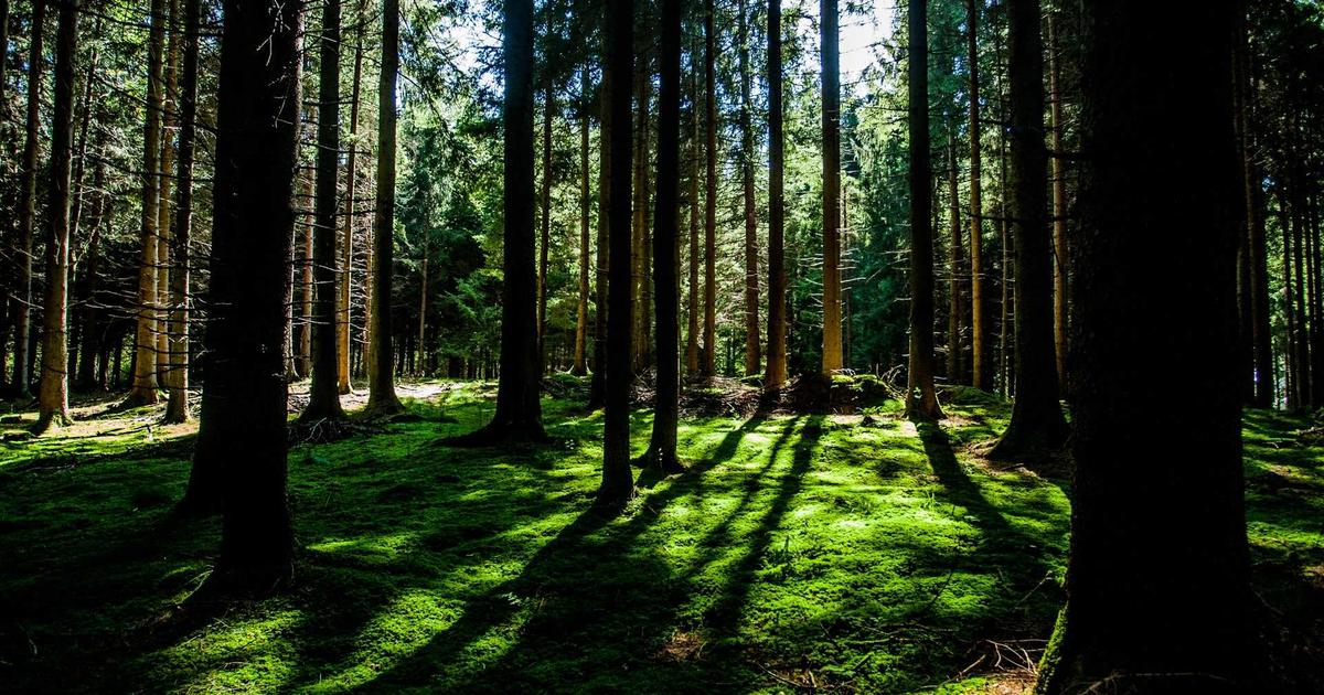 Financial Wellness Evolved: Top Tools - Finance & Fintech