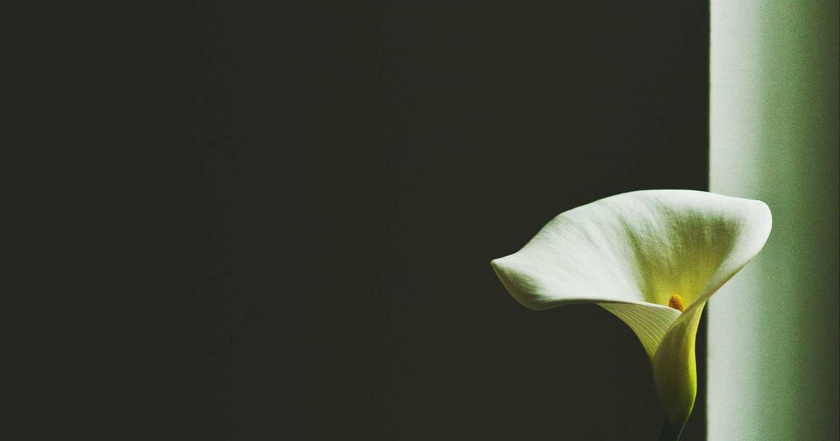 Fractional Investing Platforms: Democratizing Wealth in 2026 - Finance & Fintech