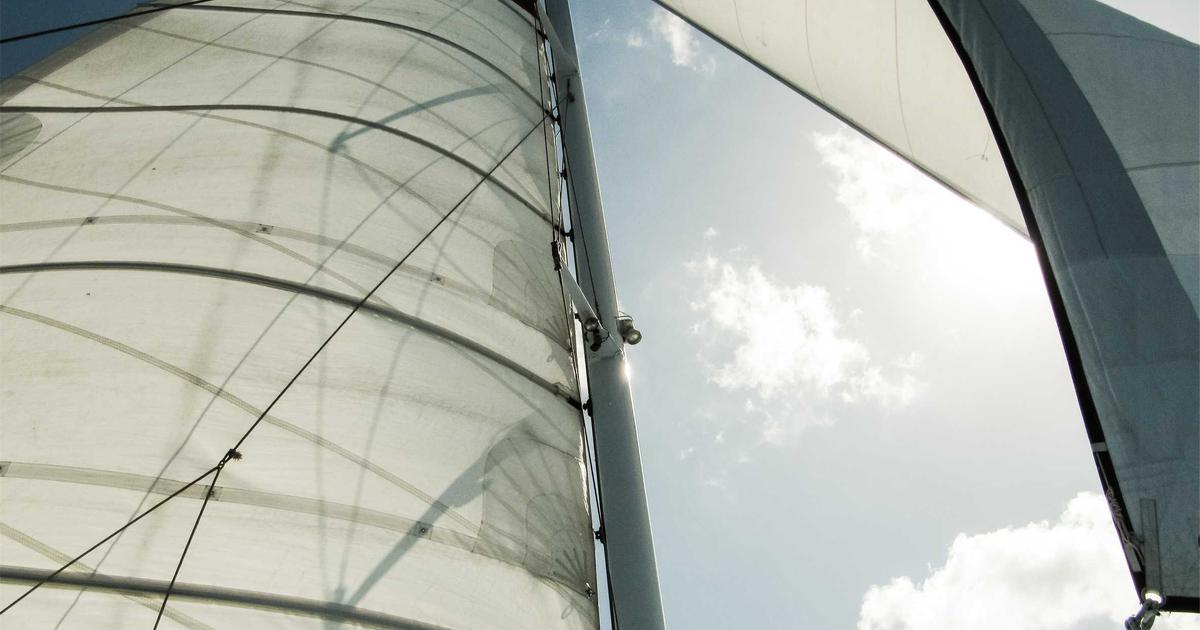 Automating Repetitive Tasks with Python APIs - Technology Tutorials