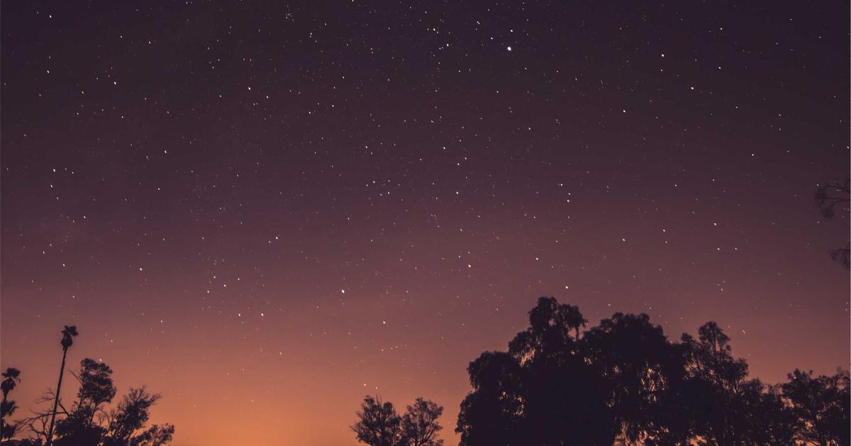 Automating Tasks with Python and APIs - Technology Tutorials