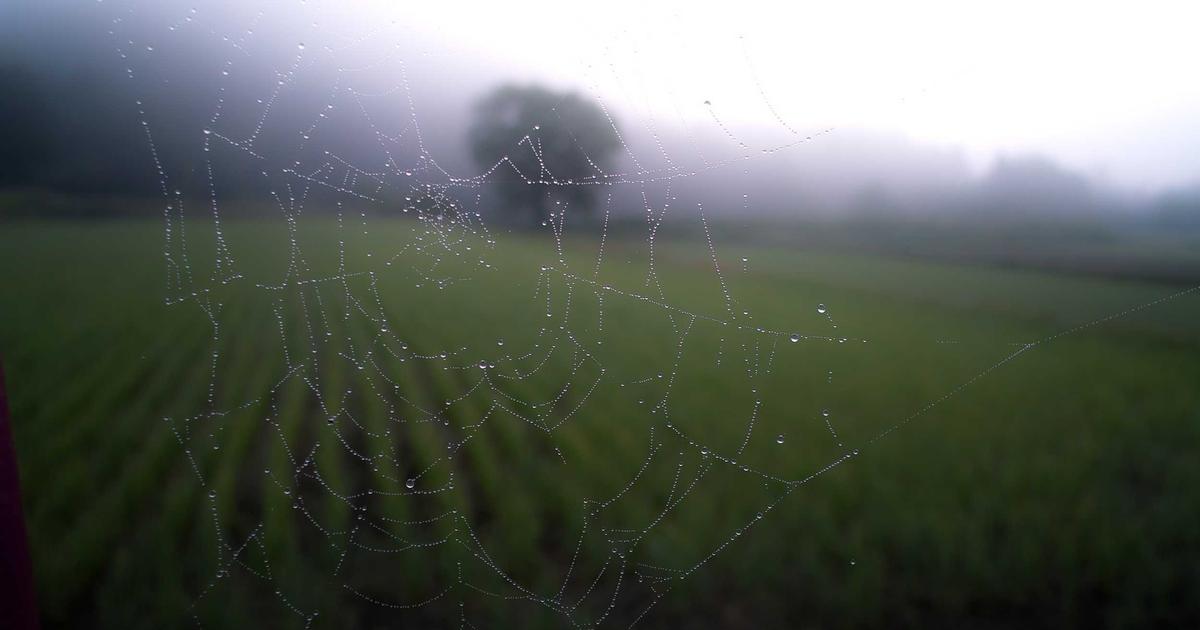 Combat Remote Work Isolation: Build Virtual Water Coolers - Remote Work & Productivity