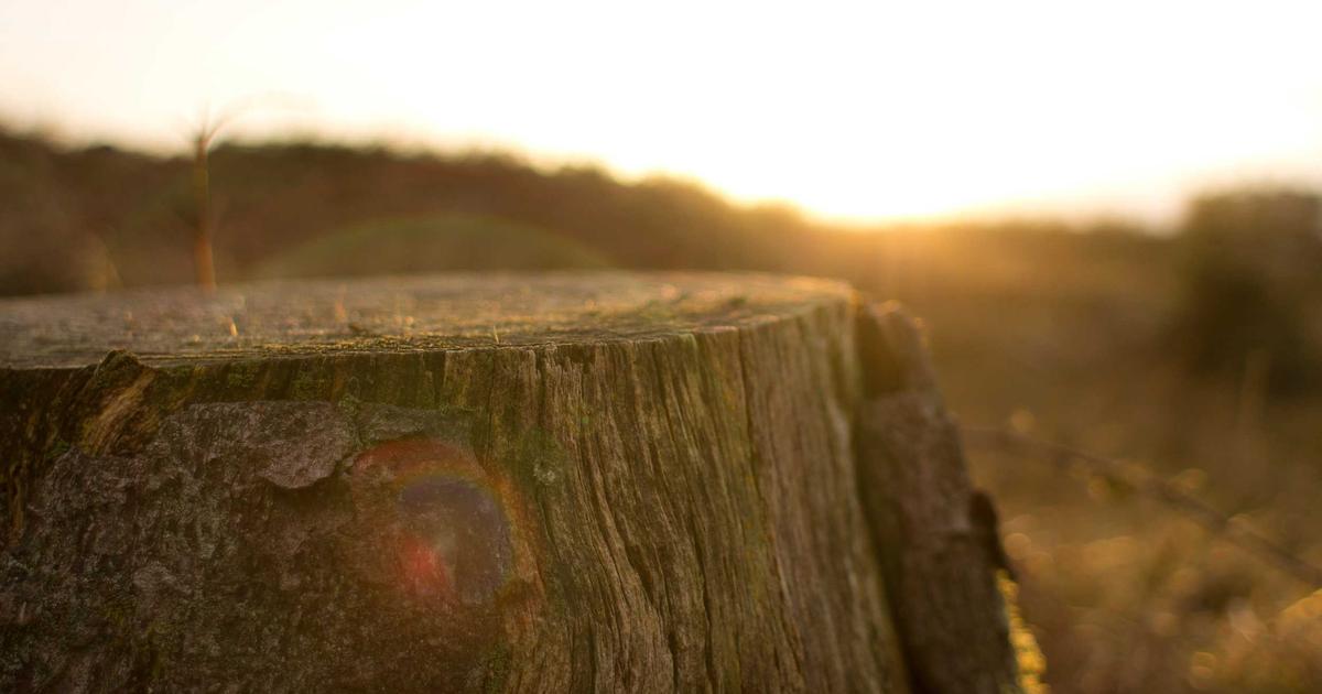 Optimizing Remote Workflows - Remote Work & Productivity
