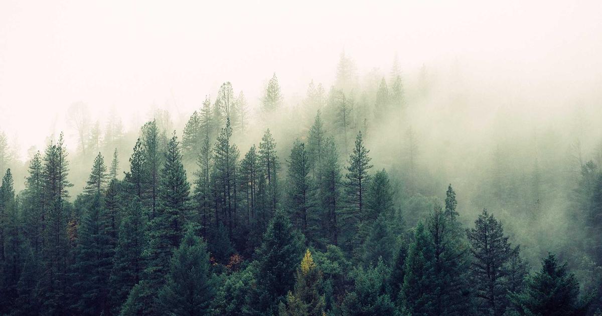 SaaS Ecosystems for SMBs: Streamlining Operations - SaaS & Software