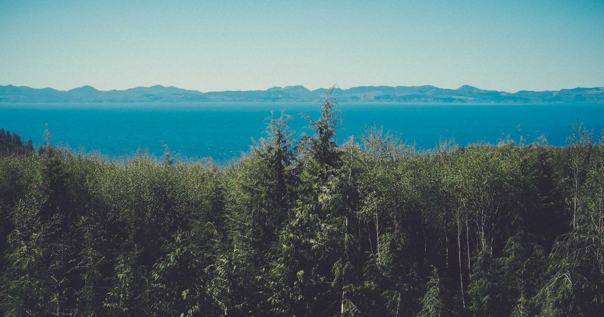 SaaS Synergy: Boosting Productivity with Integrations - SaaS & Software