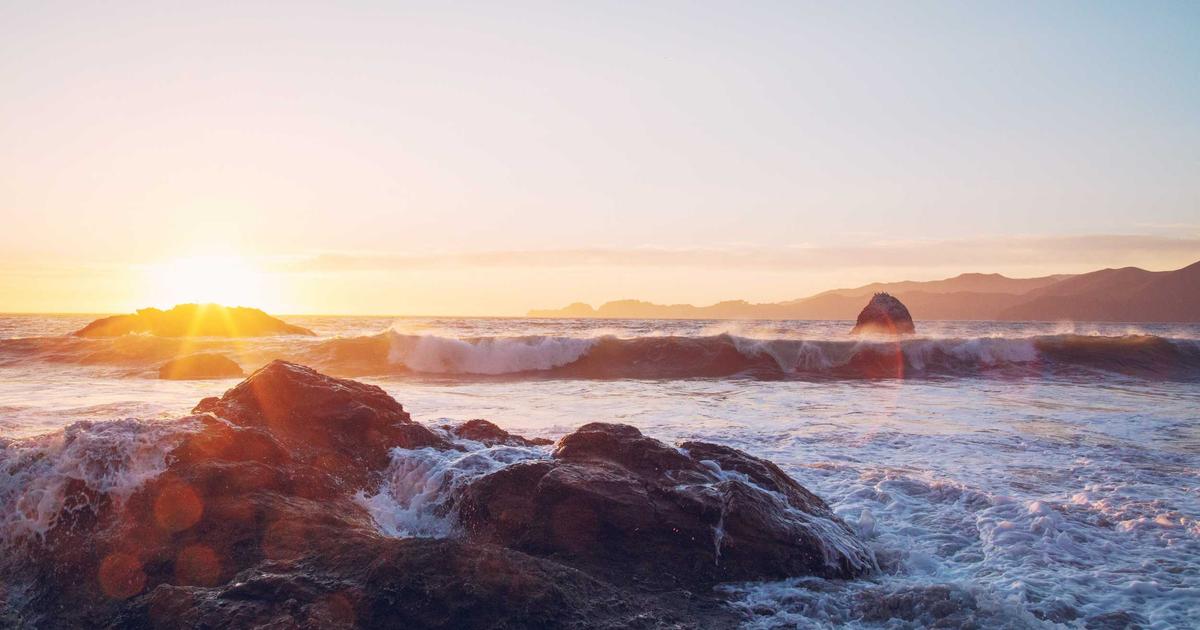 SaaS Synergy: Integrating Tools for Business Growth - SaaS & Software
