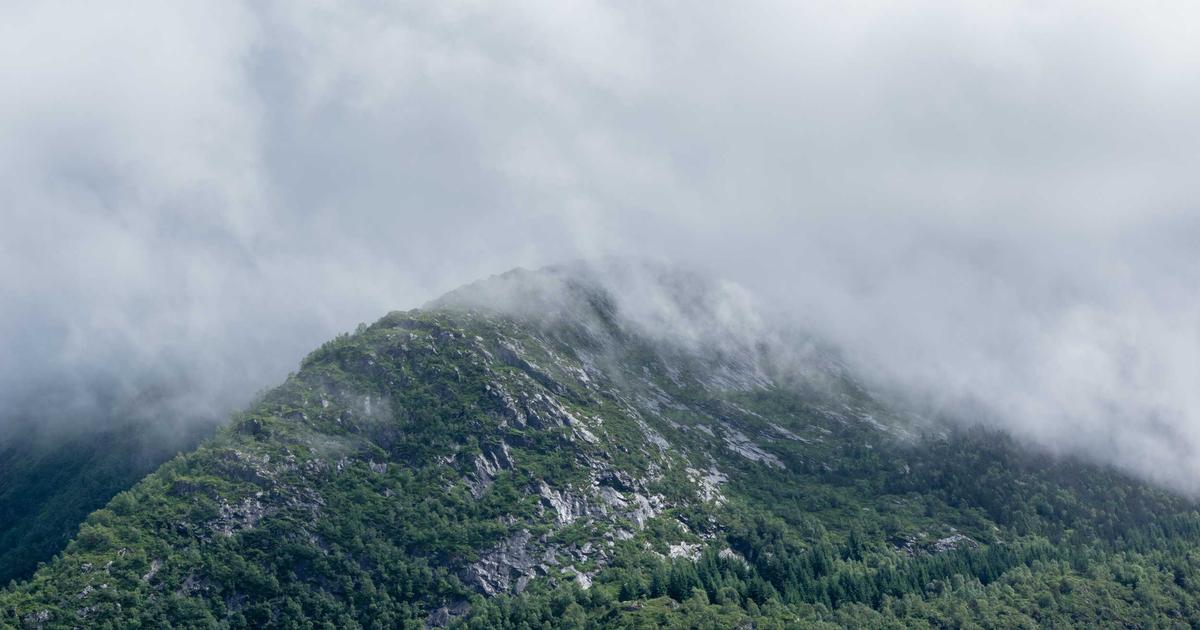 Elevate SEO with Automation - Digital Marketing & SEO