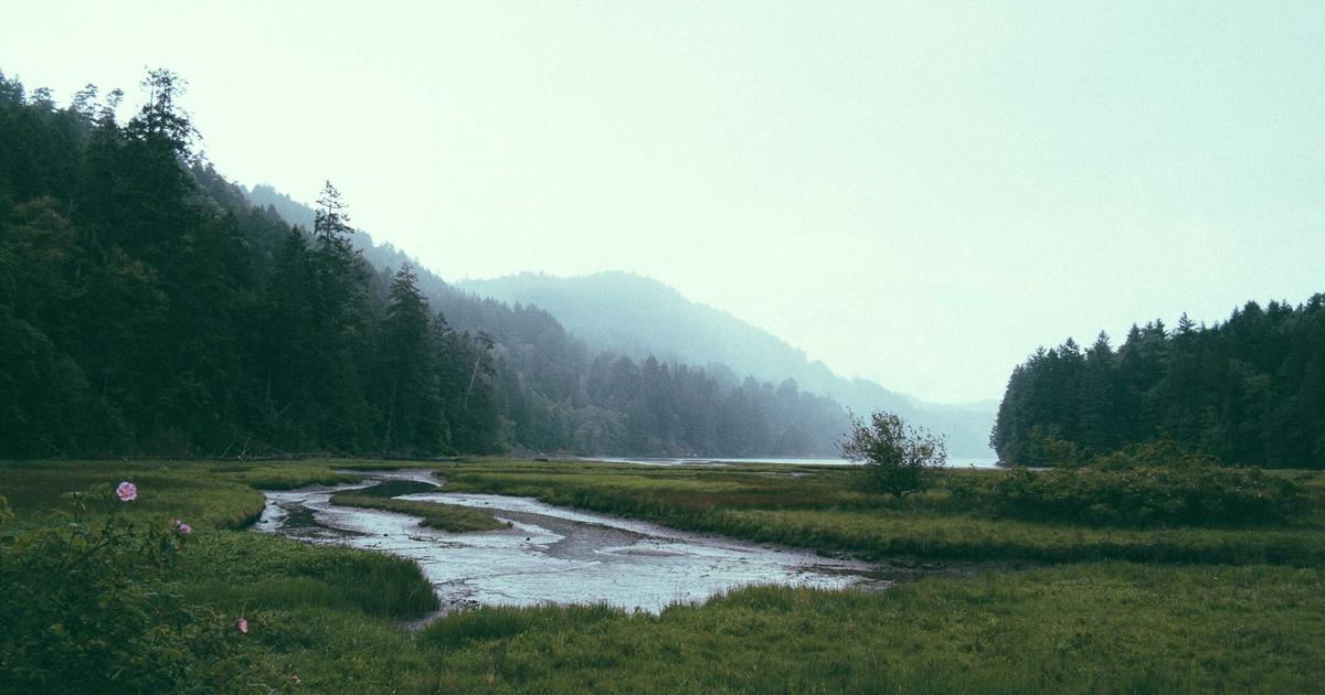 Beyond the Hype: Smart SaaS Selection for Scaling SMBs - SaaS & Software