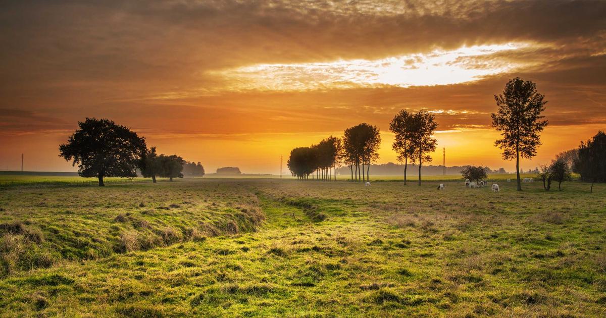 Zero Trust Automation: Securing Microservices in the Cloud - Cybersecurity